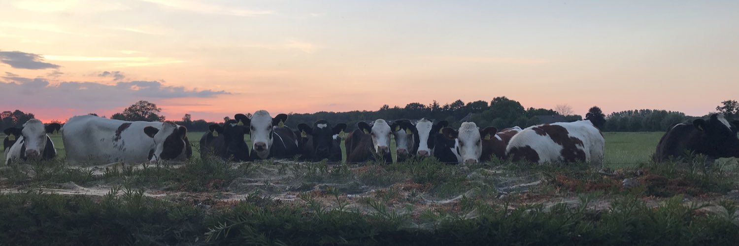 boerin en baan banner