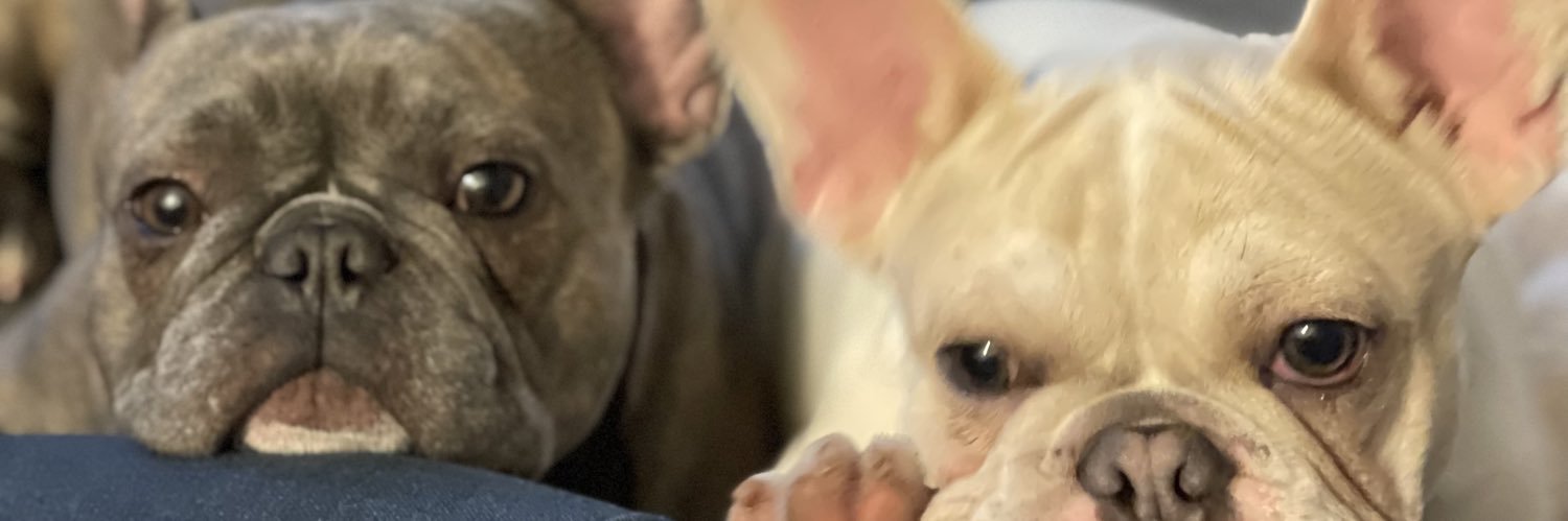 llexx_a's profile banner image