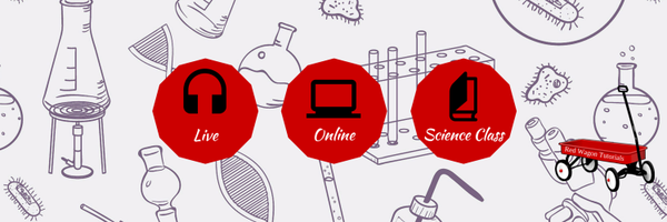 CleosPal Profile Banner