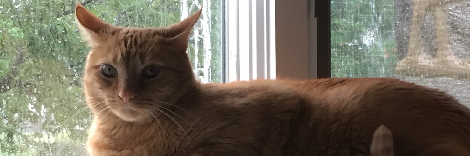 mikecampos23's profile banner image