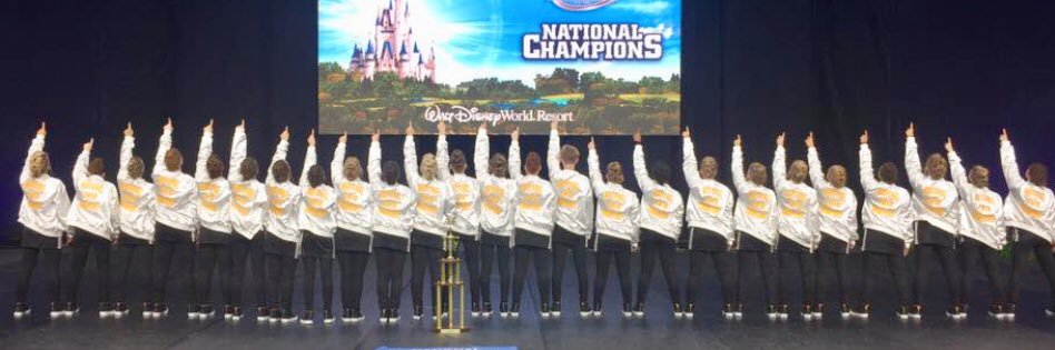 FZWVDT banner