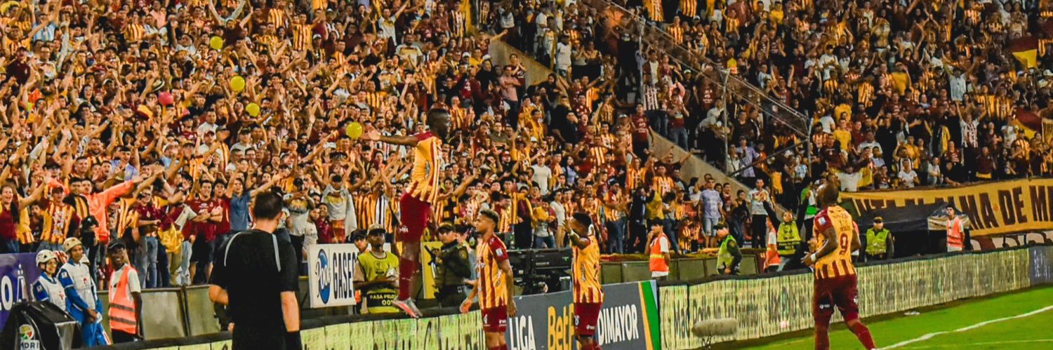 David Viera banner