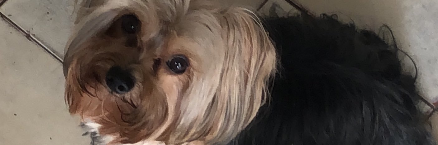 raissabez's profile banner image