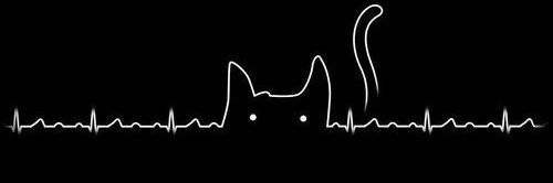 emiredz_'s profile banner image