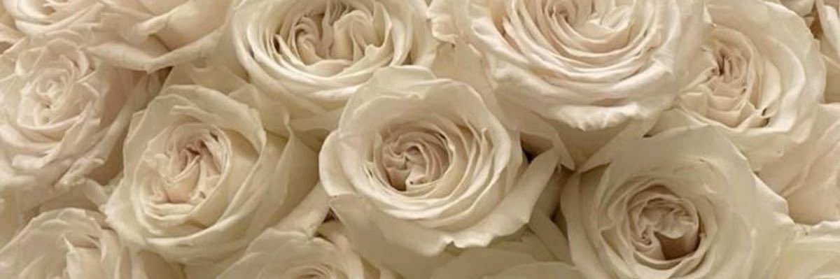 Shauntiaaaa's profile banner image