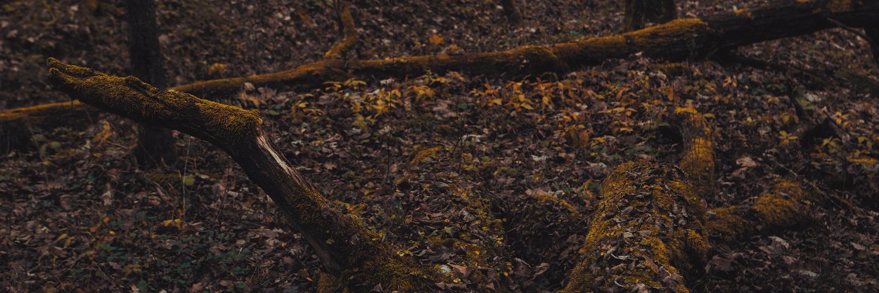 Gardens of God banner