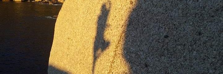 Sherabphagmo's profile banner image