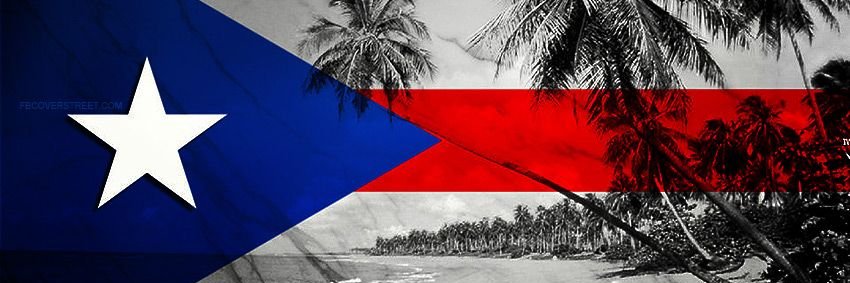 LeafGreenRikkor's profile banner image