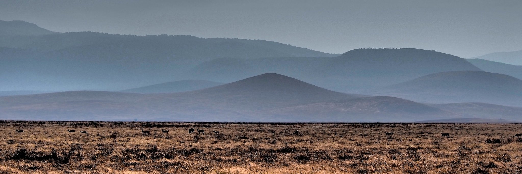 Edward Mendelson banner