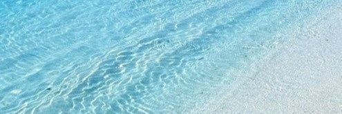 non. banner