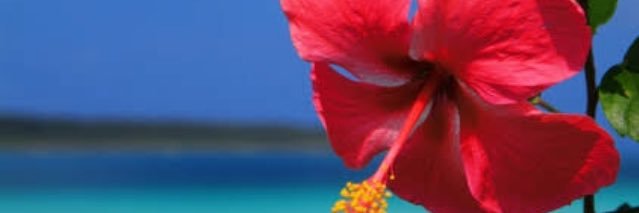 KiiinMaster's profile banner image