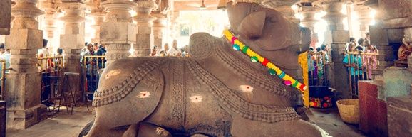 kandasurendra's profile banner image