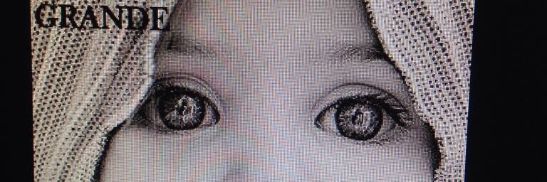 Camarada SVETLANA banner