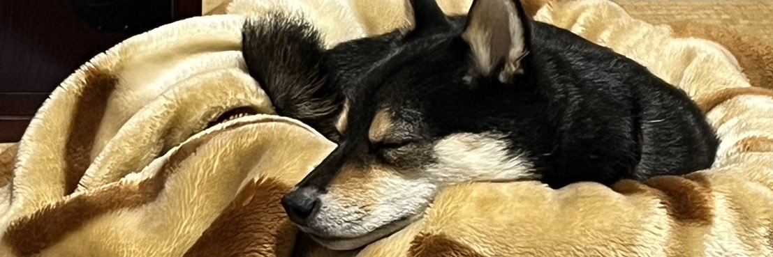 gu18bj's profile banner image