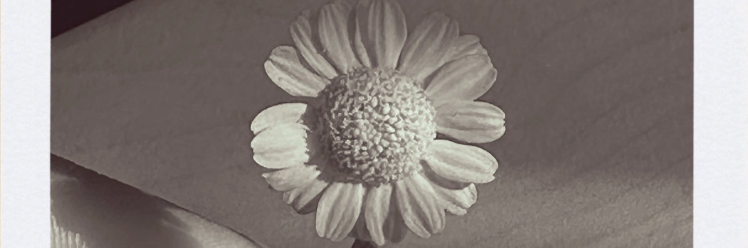 giosmyth banner