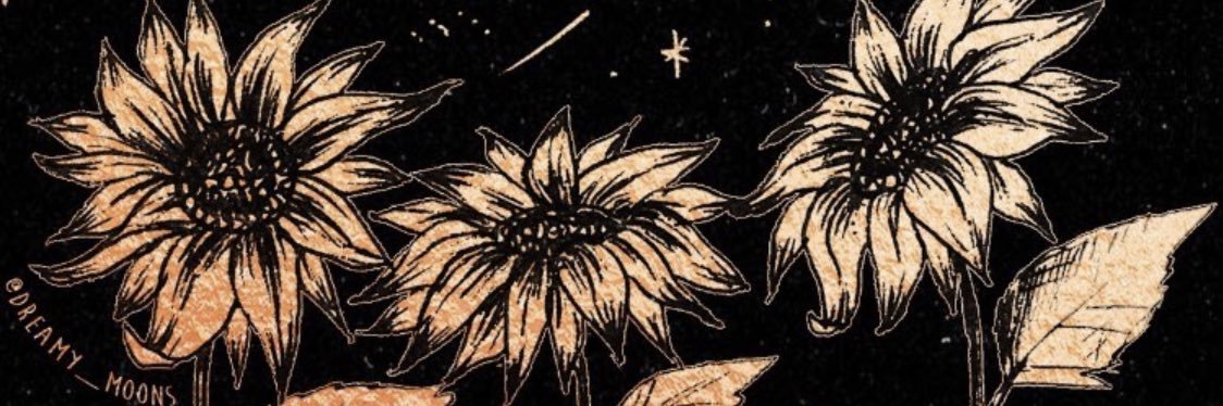 Cydmeows's profile banner image