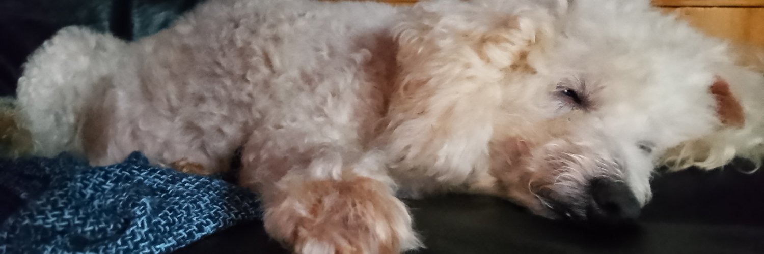 maitepit's profile banner image