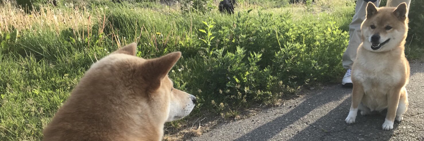 natchiai's profile banner image