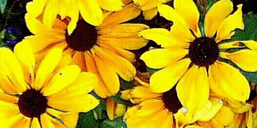 RealityTVBich banner