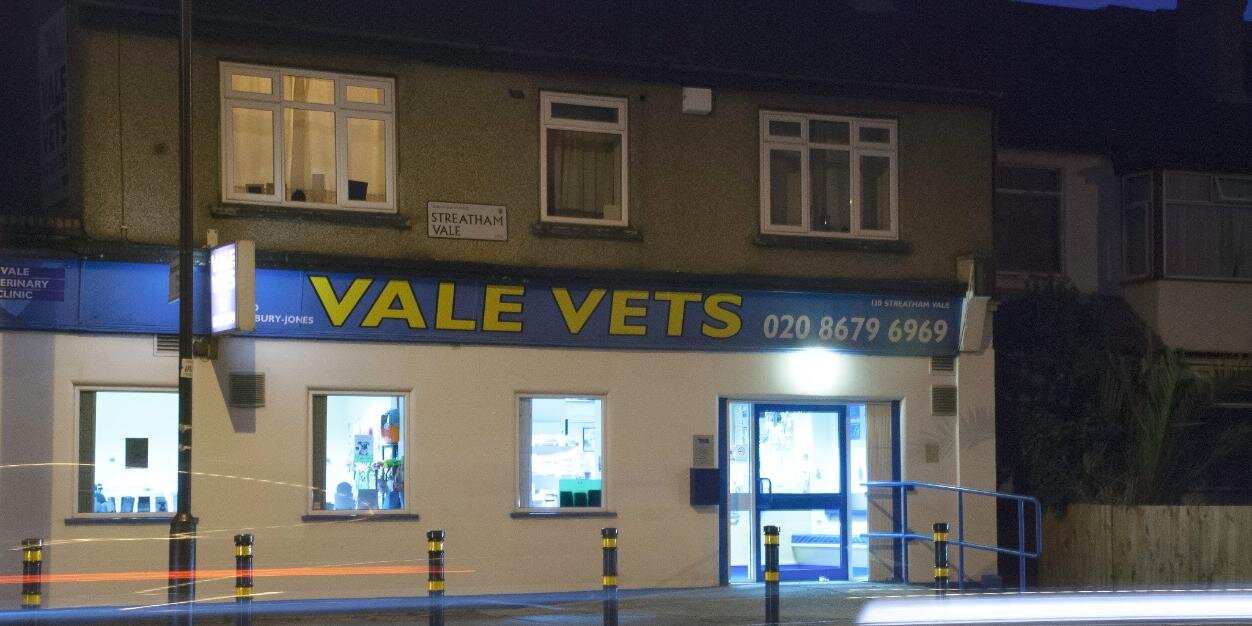 Vale_Vets's profile banner image