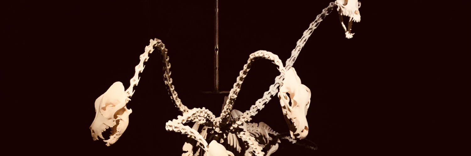 davey_boy79's profile banner image