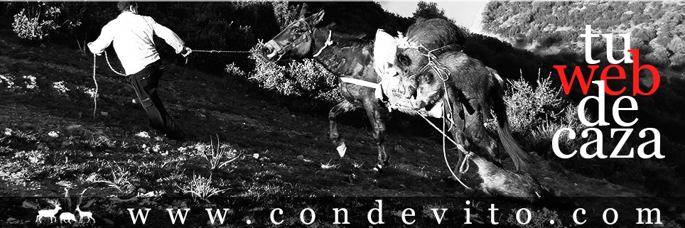 condevito's profile banner image