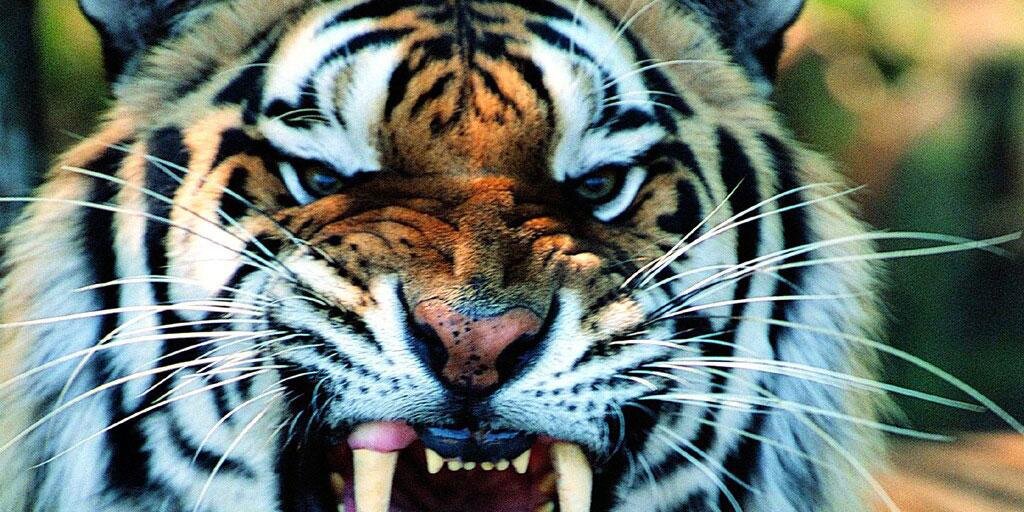 Choscar93's profile banner image