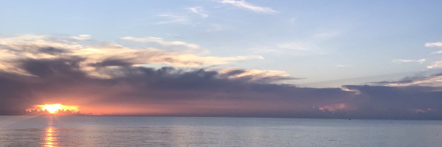 Chemeleon06's profile banner image