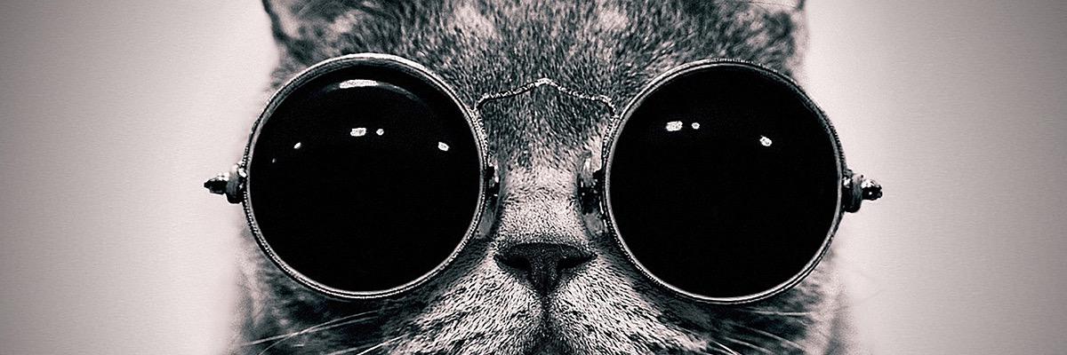 markfevans's profile banner image