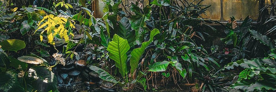 angiemclagg's profile banner image
