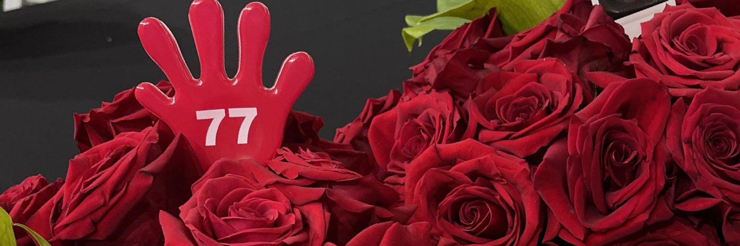 elsie🫧 banner