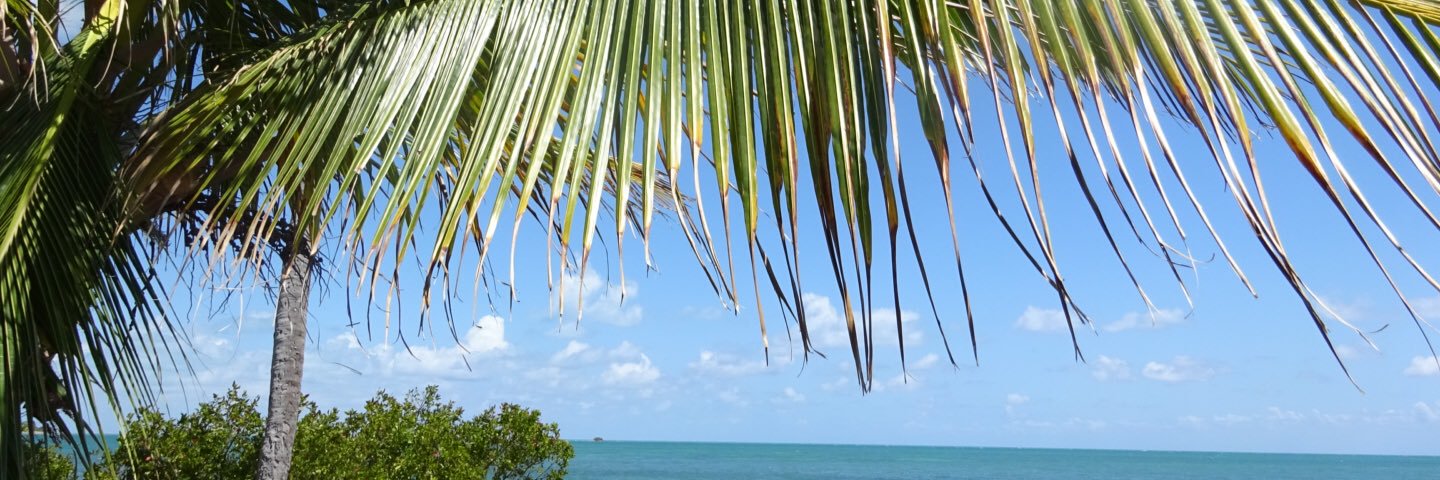 jossan_j's profile banner image