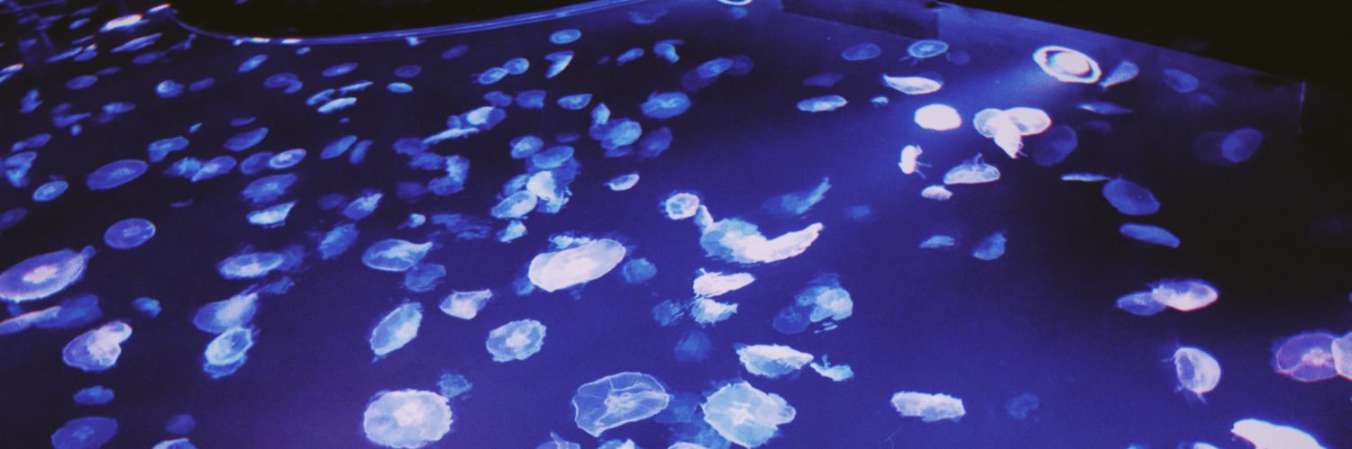 太田あさひ banner