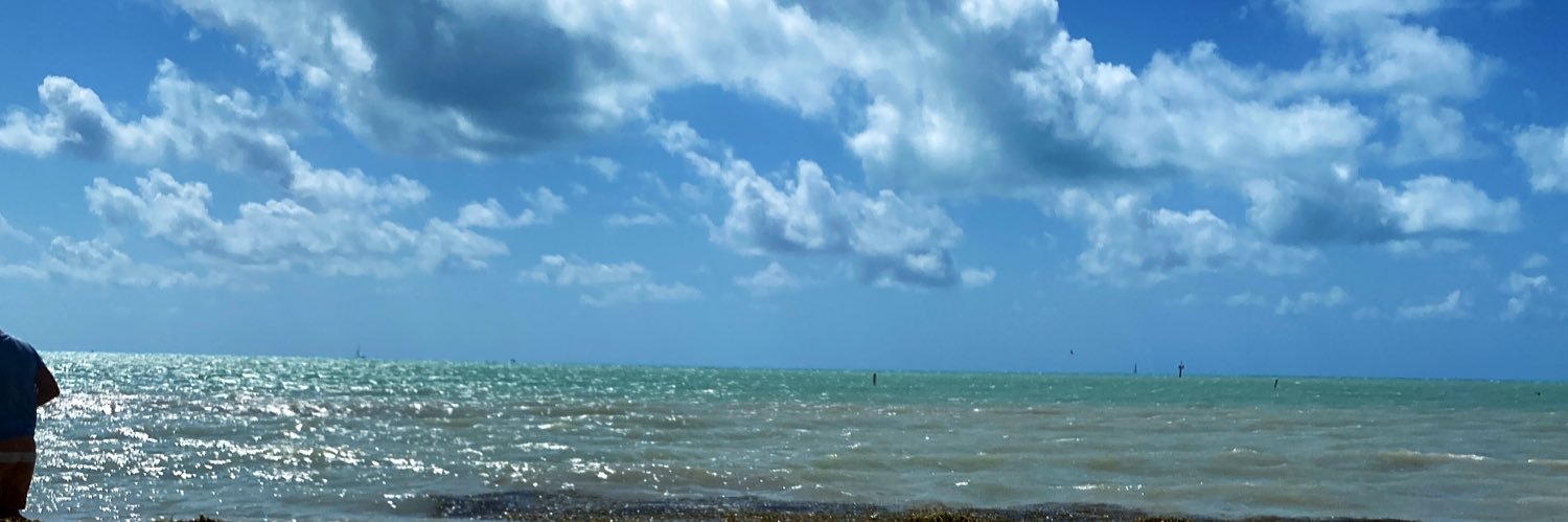 FoglioDominique's profile banner image