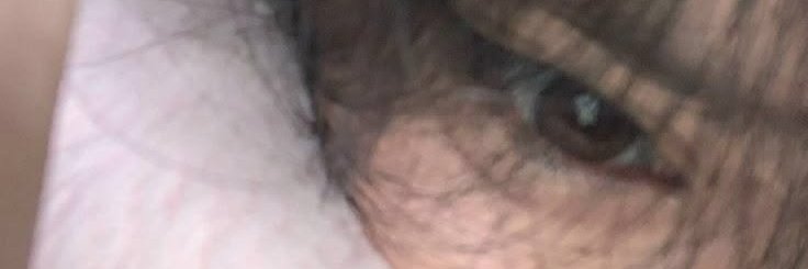 Alhjandre's profile banner image