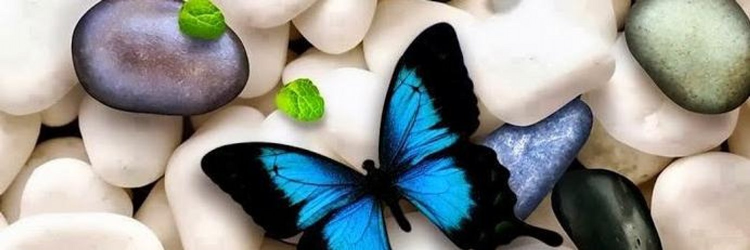 BoraaPooPoo's profile banner image