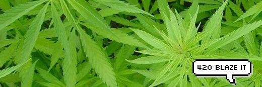 WeedGifs's profile banner image