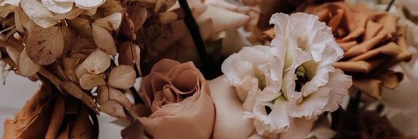 sharmkup Profile Banner