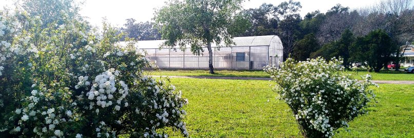 INTAconcepcion banner