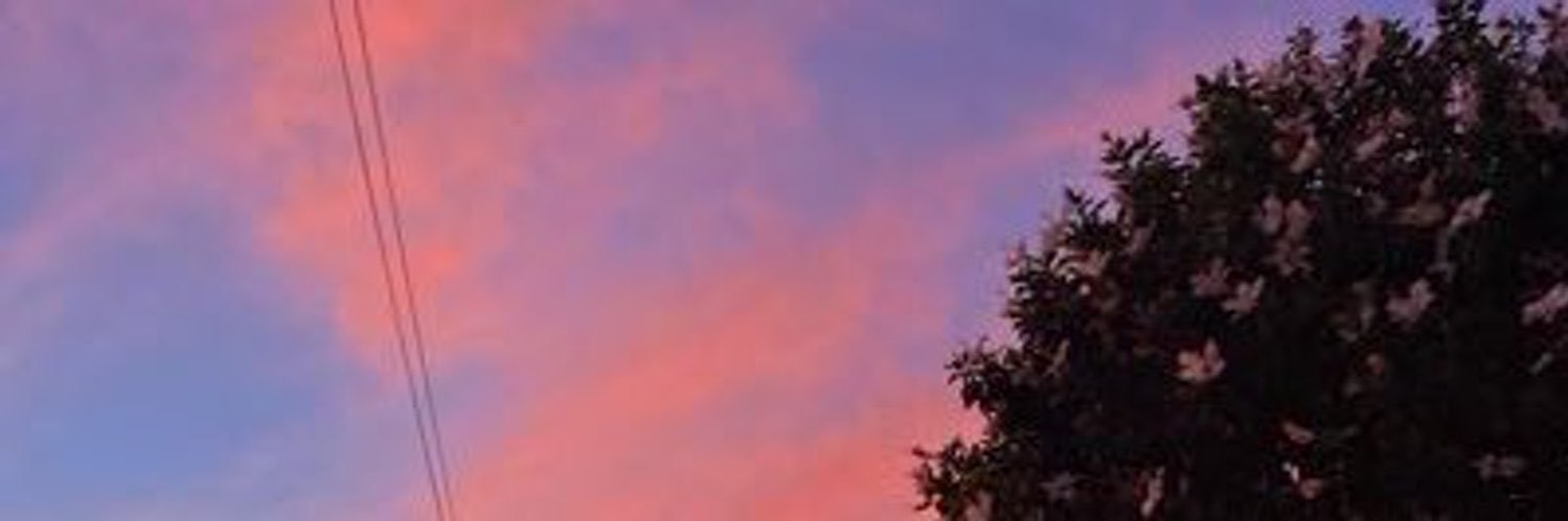 stacey00154's profile banner image