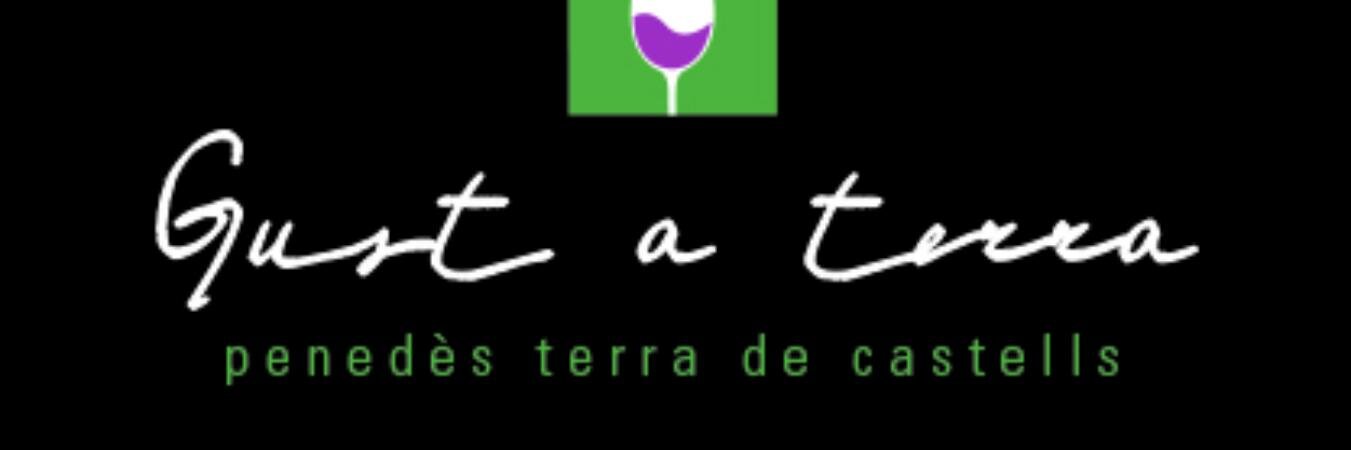 Gustaterra's profile banner image