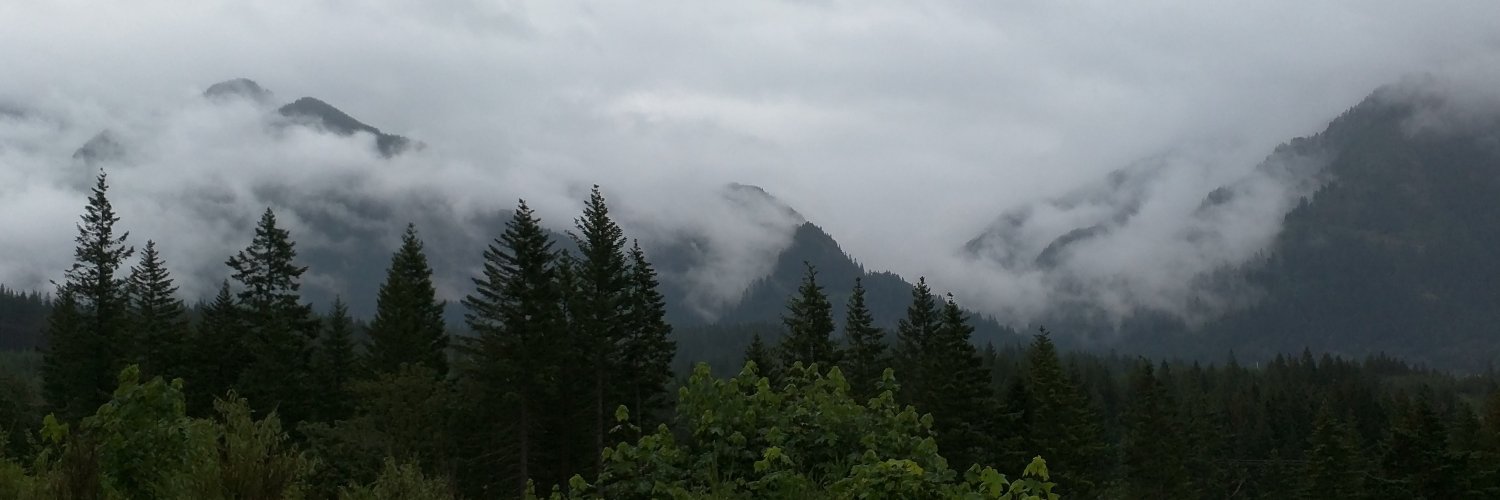 themarkjensen banner