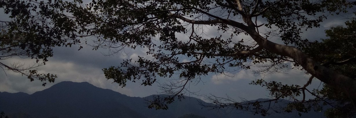 AudiniSariFani banner