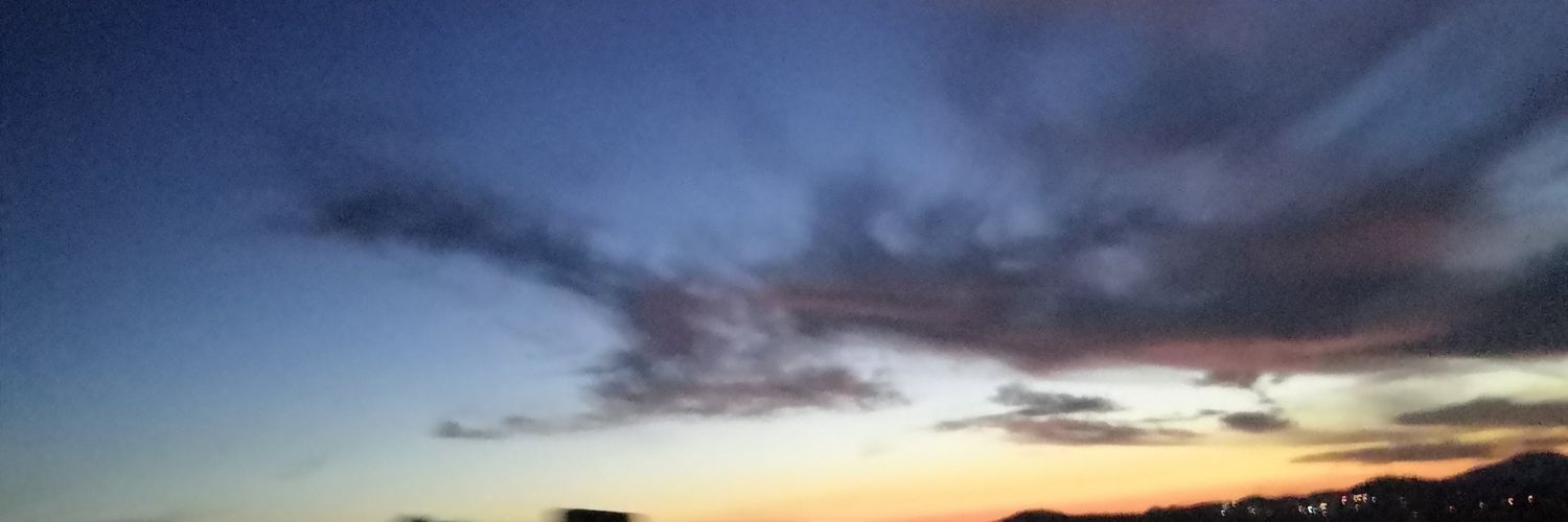shefaesflo's profile banner image