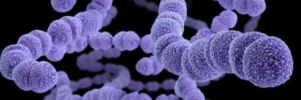 pneumowatch Profile Banner