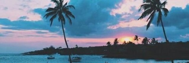 Sam_Lu5's profile banner image