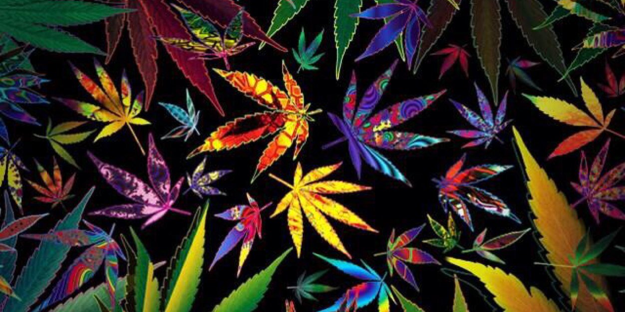 StuffTrippy's profile banner image