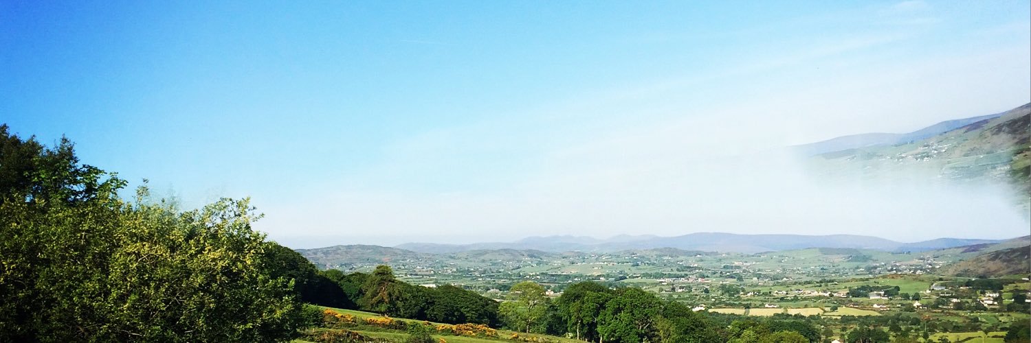 Briege Rice banner