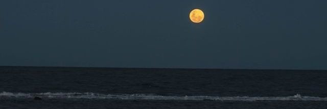 hopevause's profile banner image