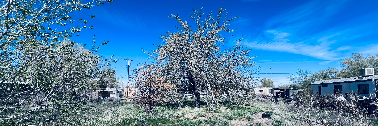 Jeremy Montoya banner